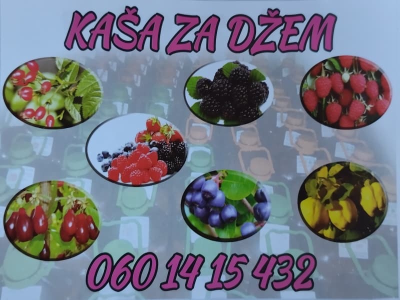 Podela flajera KAŠA ZA DŽEM, slika 1