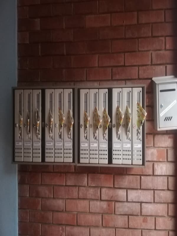 Podela flajera za Cvejić Apoteke, slika 3